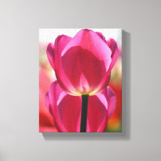 Canvas de Tulip Rosa