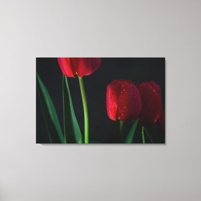 Canvas de Tulipas Vermelhas (Frente)