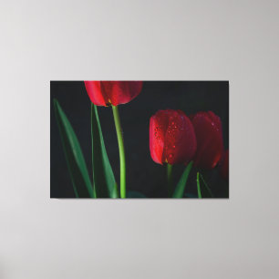 Canvas de Tulipas Vermelhas