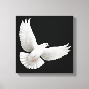 Canvas de voo da pomba do branco