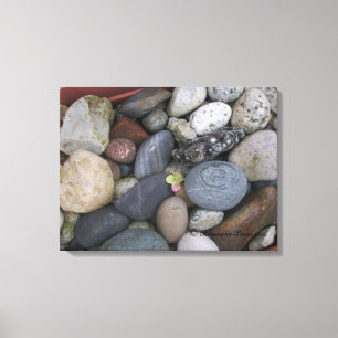 Canvas DECOR FPM - Pebbles nº 1 ©️ 2012