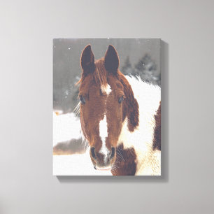 Canvas do cavalo do inverno
