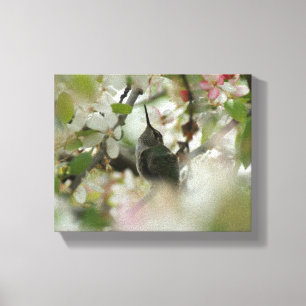 Canvas do colibri