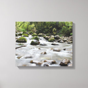 Canvas do córrego da floresta