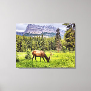 Canvas do Elk Bull