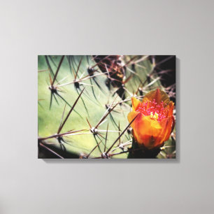 Canvas do Flor do Cactus