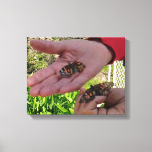 Canvas do jardim da borboleta