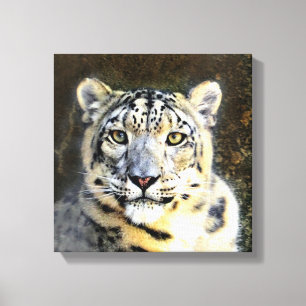 Canvas do leopardo de neve