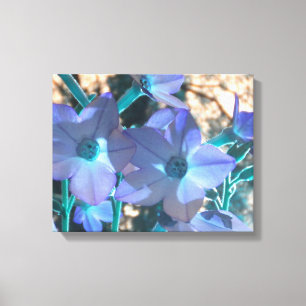 Canvas do Nicotiana da cerceta da pervinca N