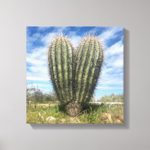 canvas do saguaro do amor