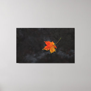 Canvas dos "haicais"