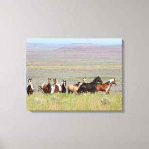 Canvas dos mustang de WildWest