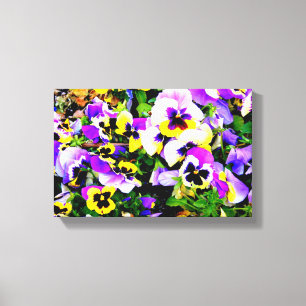 canvas dos pansies da multi-cor