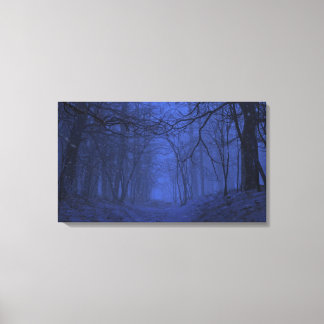 Canvas Elegy (Inverno/Noite)