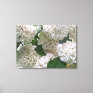 Canvas - Embalado - Hydrangeas Brancas