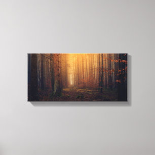 Canvas estendida