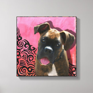 Canvas estendida do Boxer
