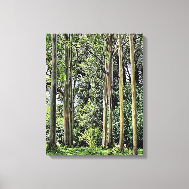 Canvas Eucalyptus Triple (Frente)