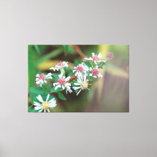 Canvas Extra Grande de Flor
