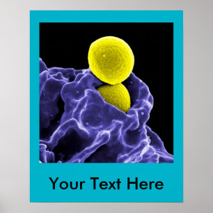 canvas feitas sob encomenda do poster da arte