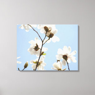 Canvas Floral Magnolia Tree Brilhante impressões d
