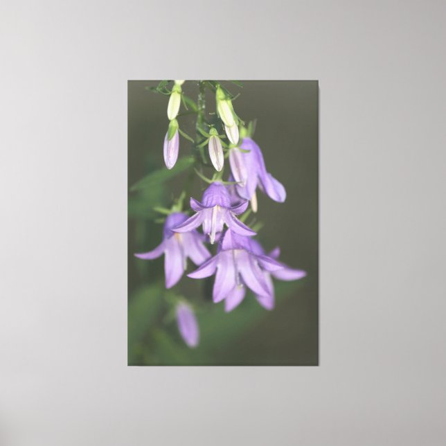Canvas Floral Puro (Frente)