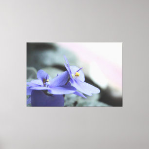 Canvas Floral Violeta Roxa