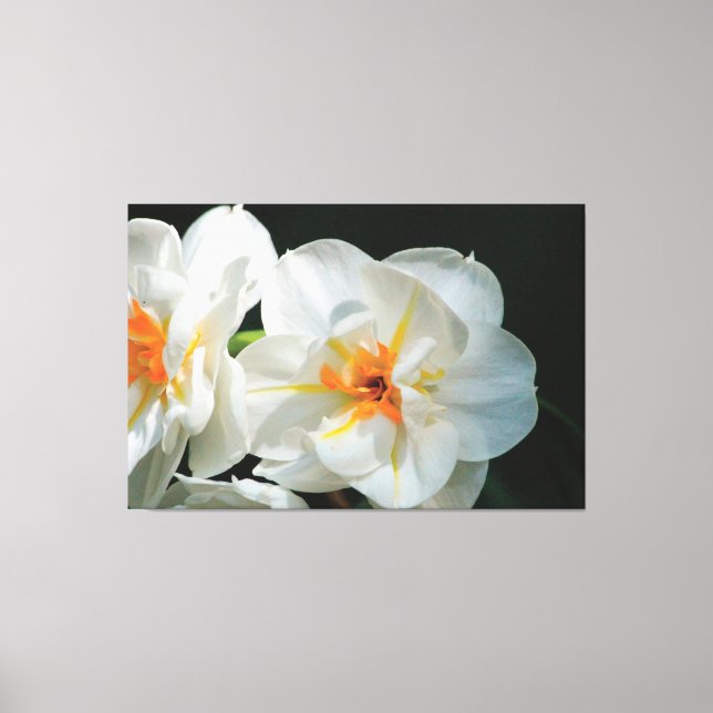 Canvas Flores Brancas (Frente)