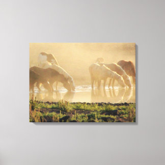 Canvas GoldDust Series