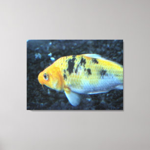 Canvas Goldfish