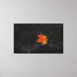 canvas "Haiku"