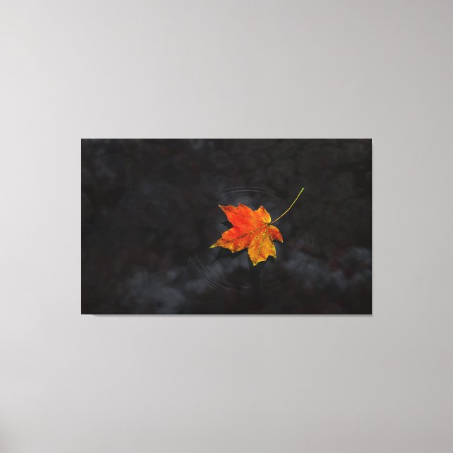 canvas "Haiku" (Frente)