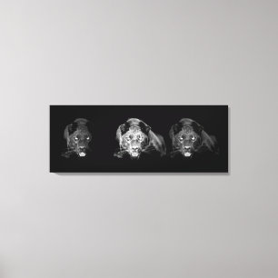 Canvas Jaguar Preta e Branca