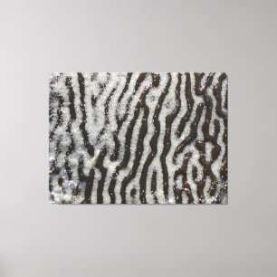 Canvas KELP   m3galeryStudio