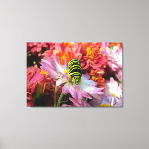 Canvas Mãe de Lagarta Nosy N