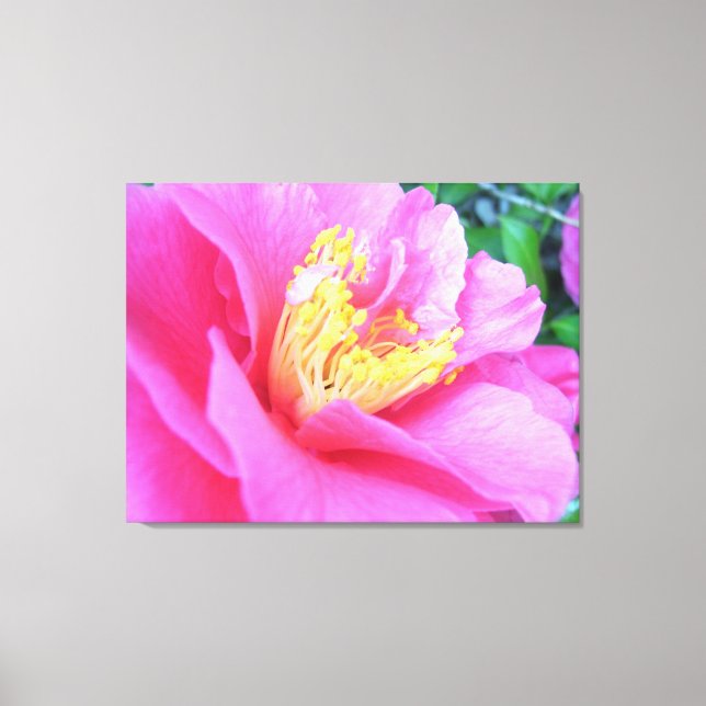 Canvas - Molhado - Cheio Bloom Dark Pink Camellia (Frente)