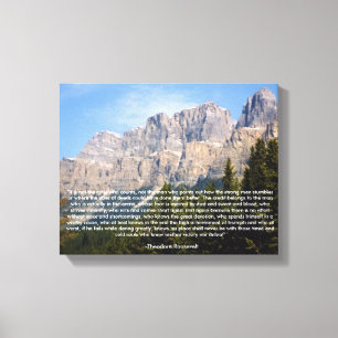 Canvas Motivacional Theodore Roosevelt