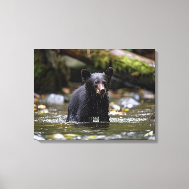 Canvas Muro Arte-Yellowstone Urso Negro (Frente)