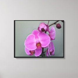 Canvas ORCHID DE TINTA