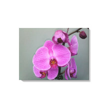 Canvas ORCHID DE TINTA
