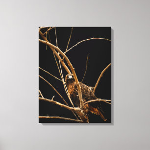 Canvas ouro