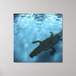 Canvas p05b DA SÉRIE DE PISCINAS DA DAVID