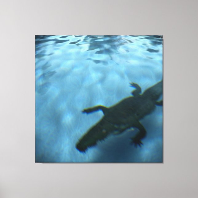 Canvas p05b DA SÉRIE DE PISCINAS DA DAVID (Frente)