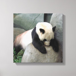 Canvas Panda