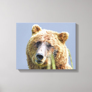 Canvas Premium 11x14 de urso pardo