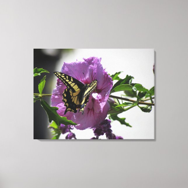 Canvas Print - Borboleta Swallowtail (Frente)
