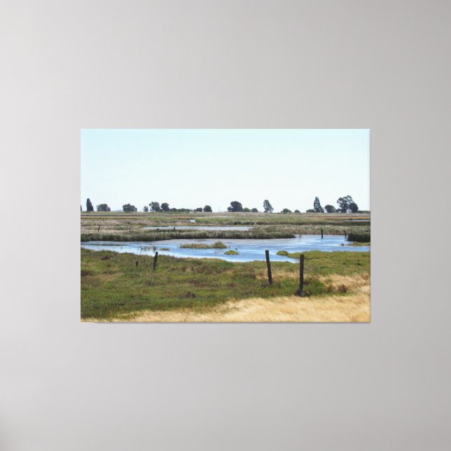 Canvas Print - Marshland Water (Frente)