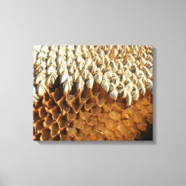 Canvas Print - Sementes De Girassol