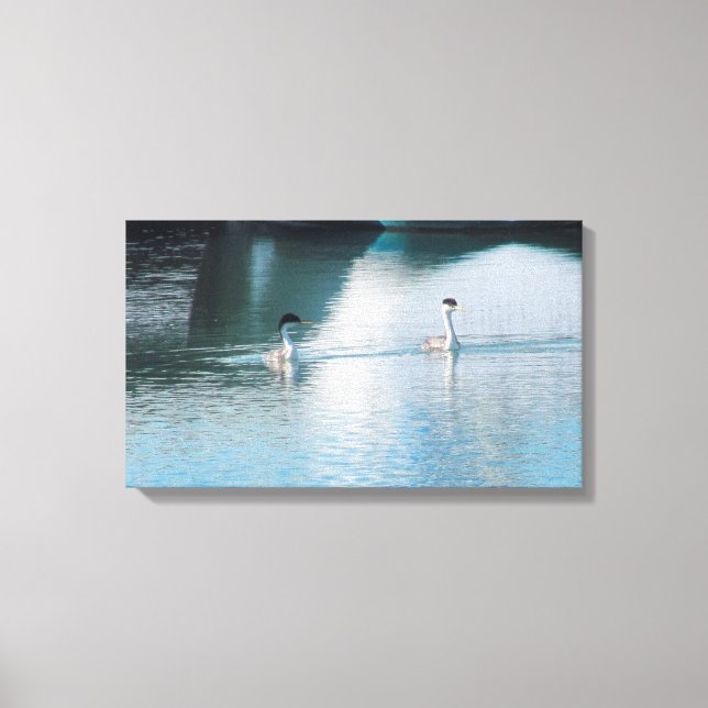 Canvas Print - Western Grebe em Harbor (Frente)