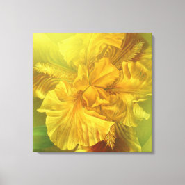 Canvas quadrada íris (amarelo quente)